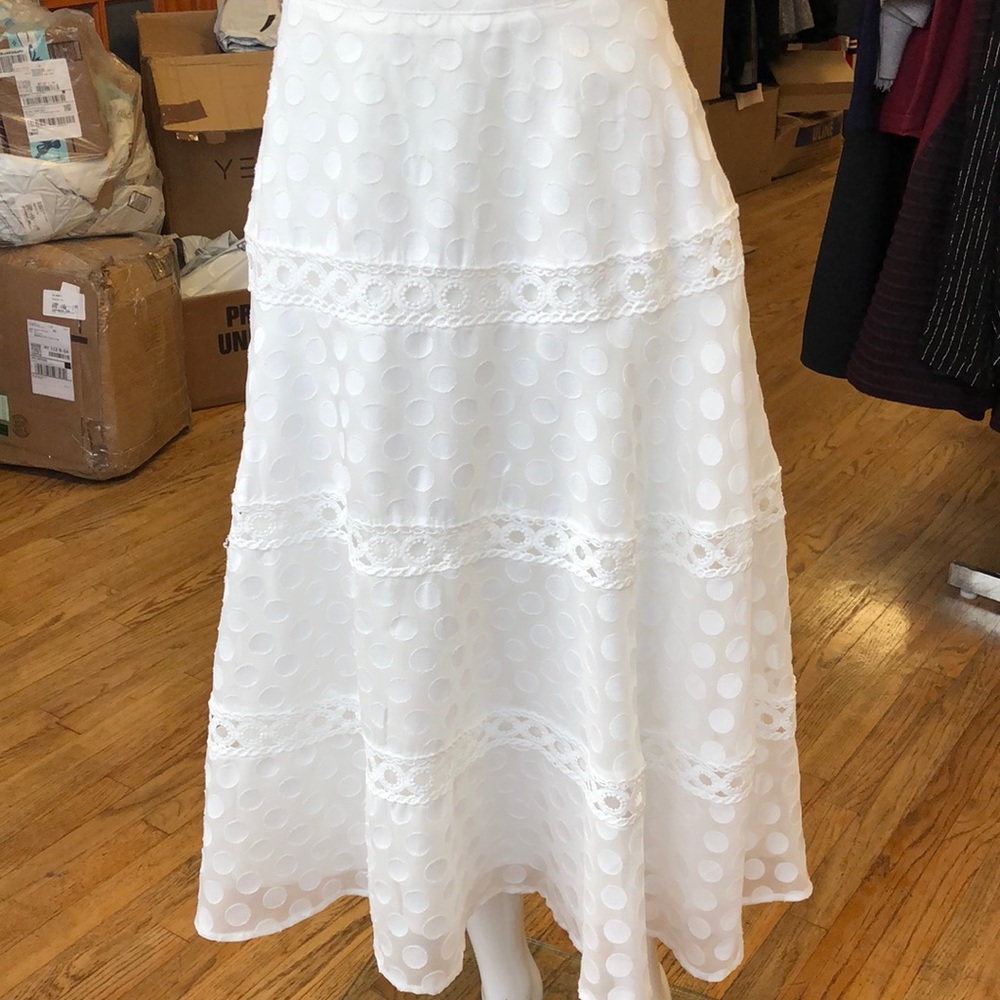 Polka dot embroidered a-lien skirt